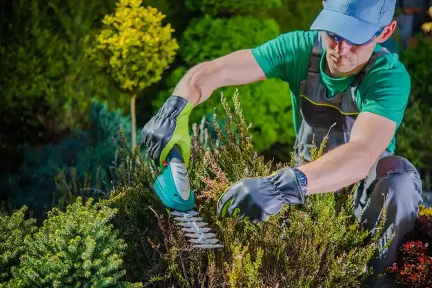 landscaping services Wolfhurst